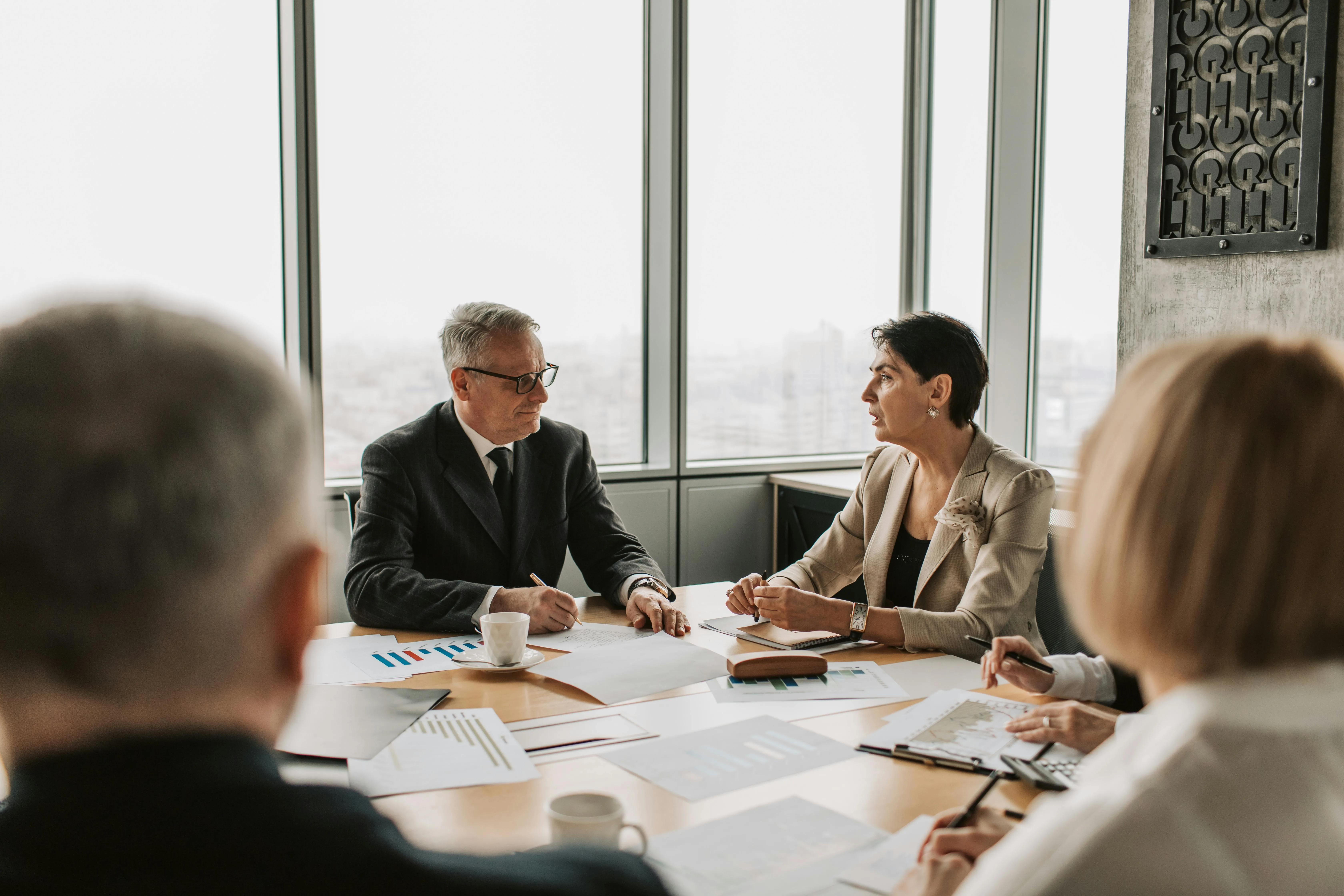 Professional Financial Consultations - pg